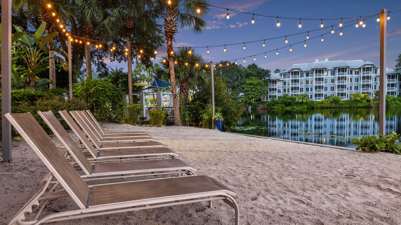 Beach Area